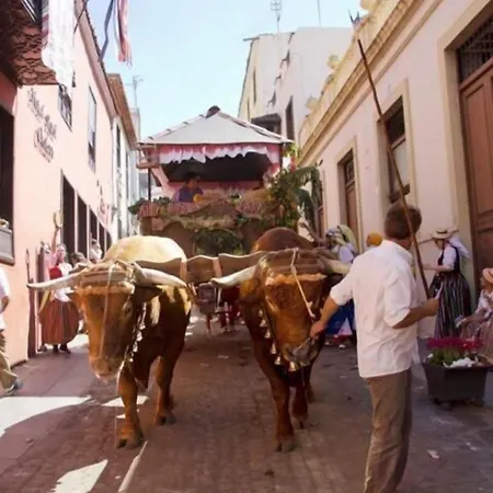 Venkovský dům Rural Orotava La Orotava